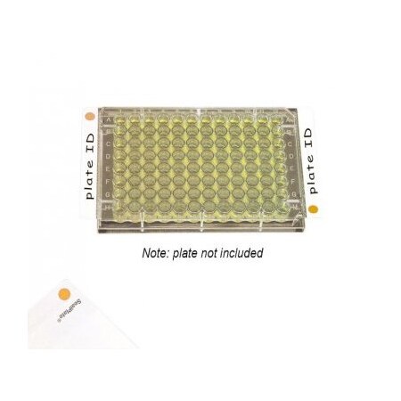 Excel Scientific SealPlate ColorTab Film, Non-Sterile, Orange, 100/pk, 100PK 202527O